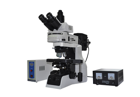 研究级荧光显微镜 MF43