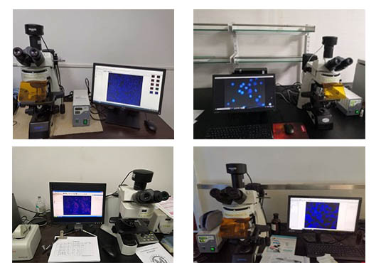 显微镜结构图.jpg 显微镜结构图.jpg